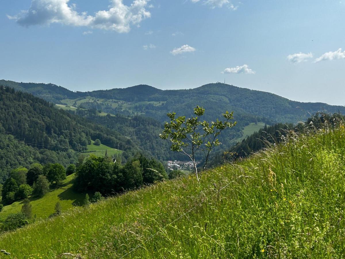 Cella Apartments **** Zell im Wiesenthal Εξωτερικό φωτογραφία